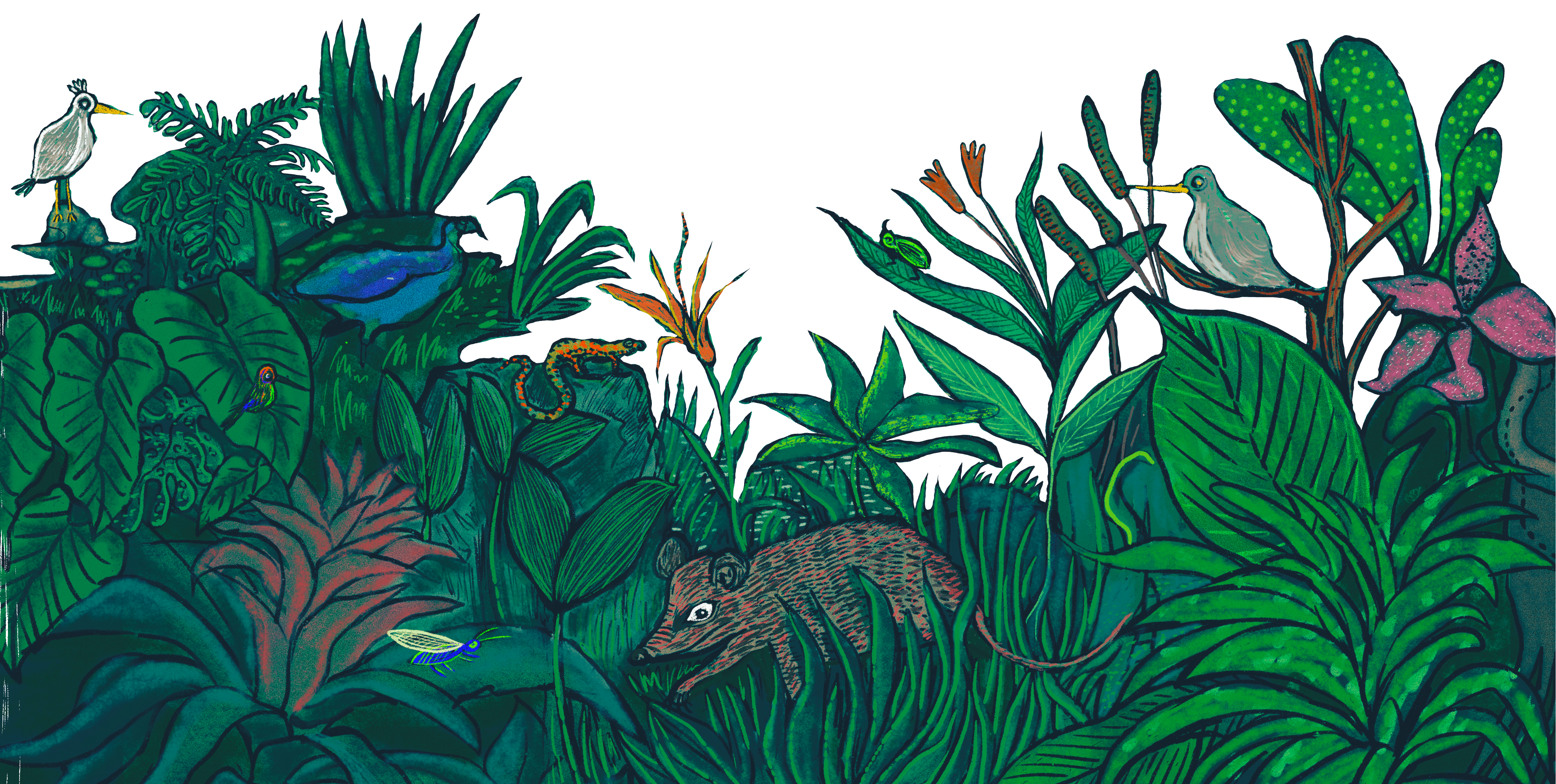 Ilustración
